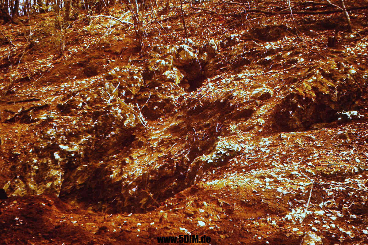 Volmeabstieg/1976042(5)-xxxx_E_09_(C_09)_D_NW_HA-Delstern_Volmeabstieg_Hanerthoehle2_von_der_Talseite_aus_1200x0800