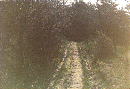 05_11_19750425_mi_Weg_bei_Rafflenbeul