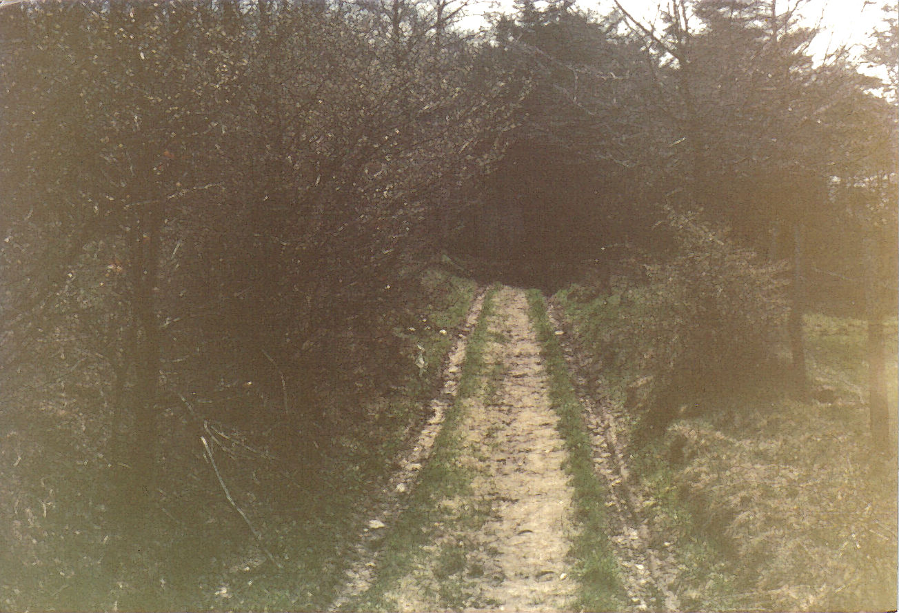05_11_19750425_mi_Weg_bei_Rafflenbeul