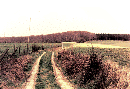 05_12_19750425_mi_Weg_bei_Rafflenbeul