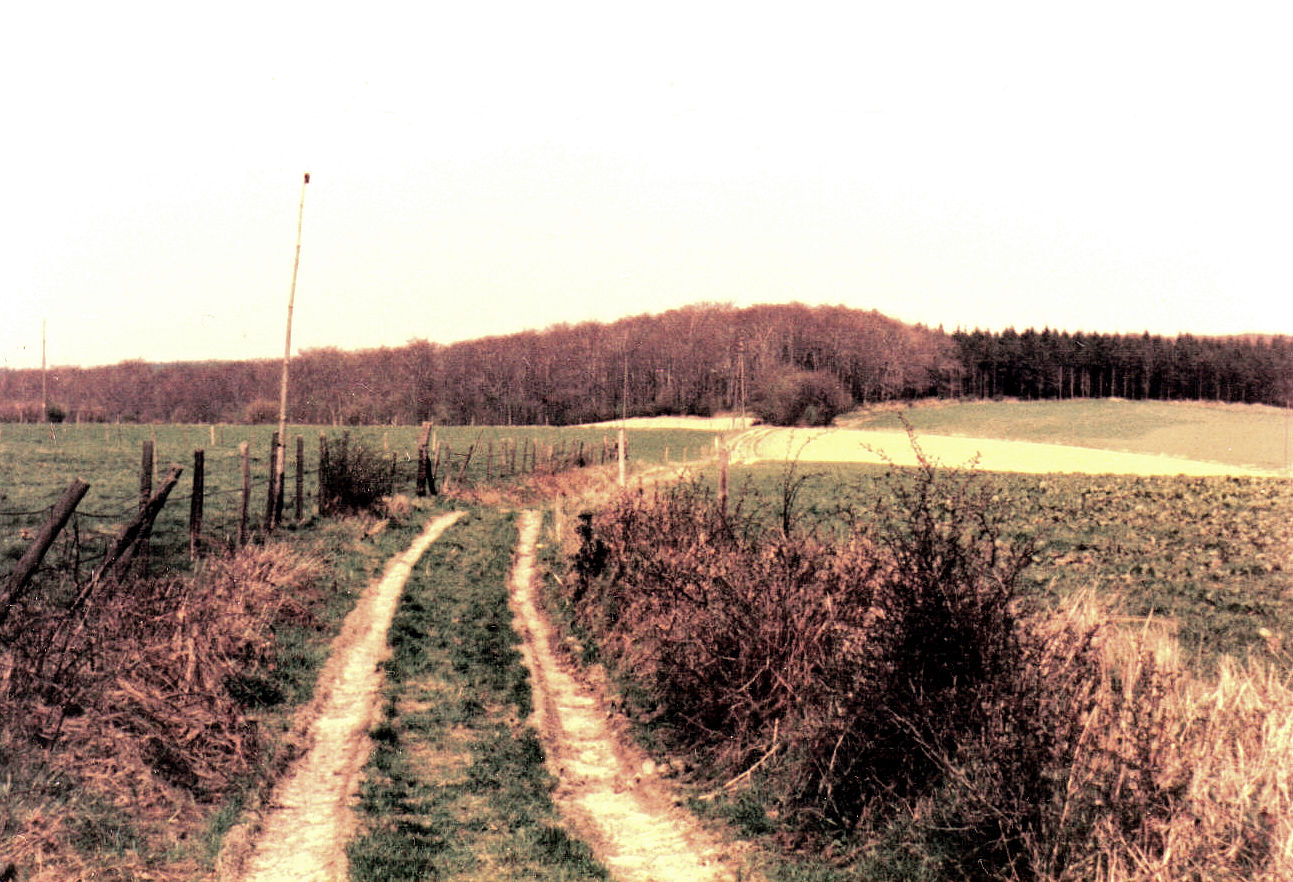 05_12_19750425_mi_Weg_bei_Rafflenbeul