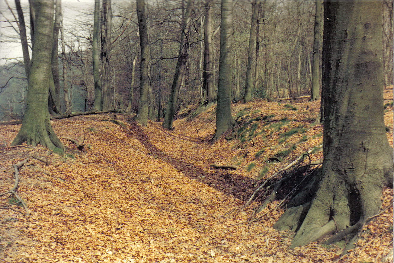 05_13_19750425_mi_paralleler_Hohlweg_bei_Rafflenbeul