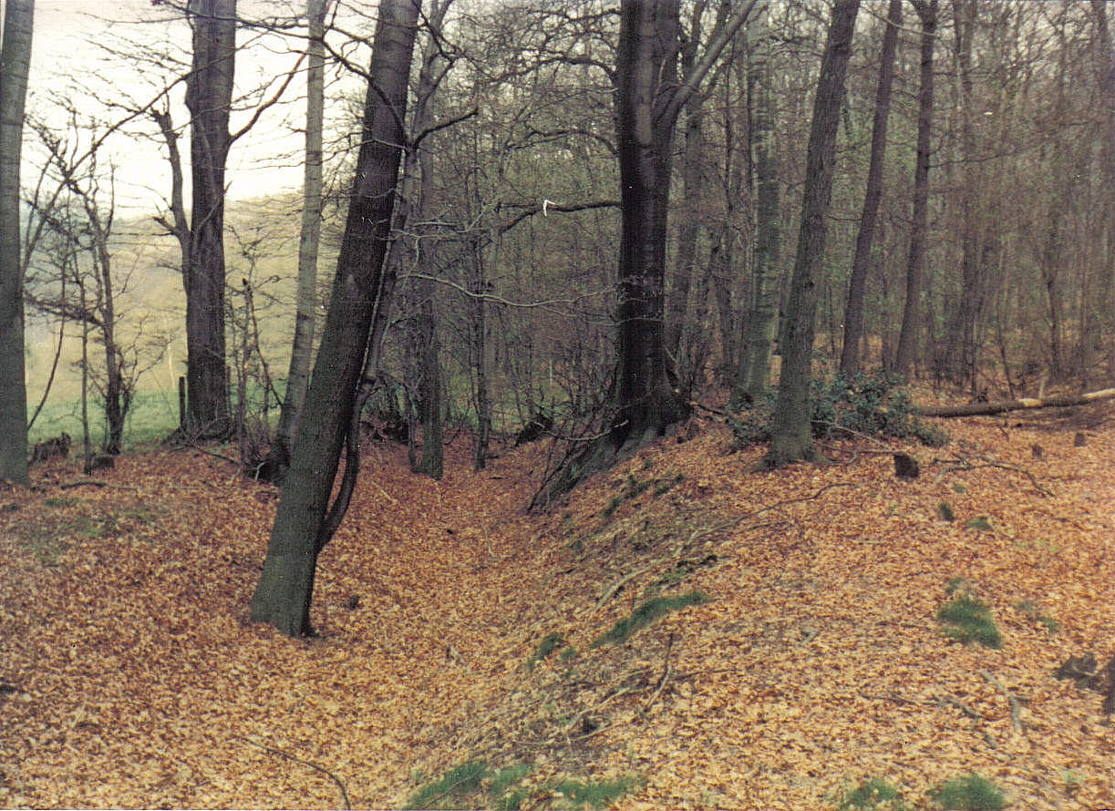 05_14_19750425_mi_Hohlweg_am_Rafflenbeuler_Kopf