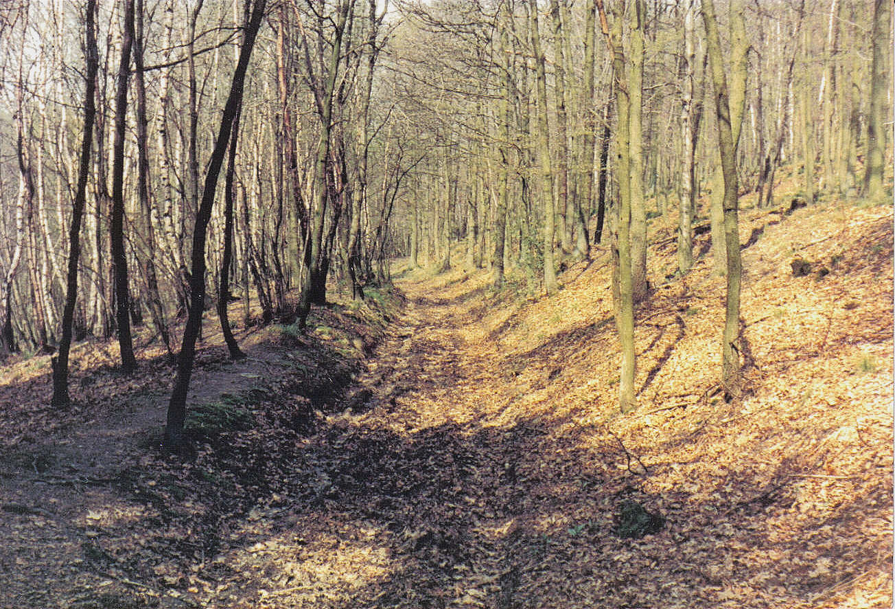 05_18_19750425_(1330)_Hohlweg