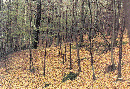 05_19_19750425_(1330)_Meilerplatz