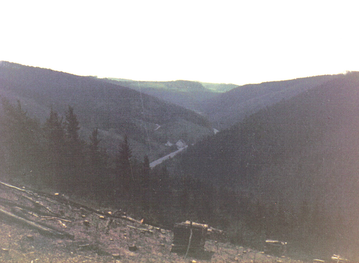 05_24_19750425_nm_Klingelbachtal