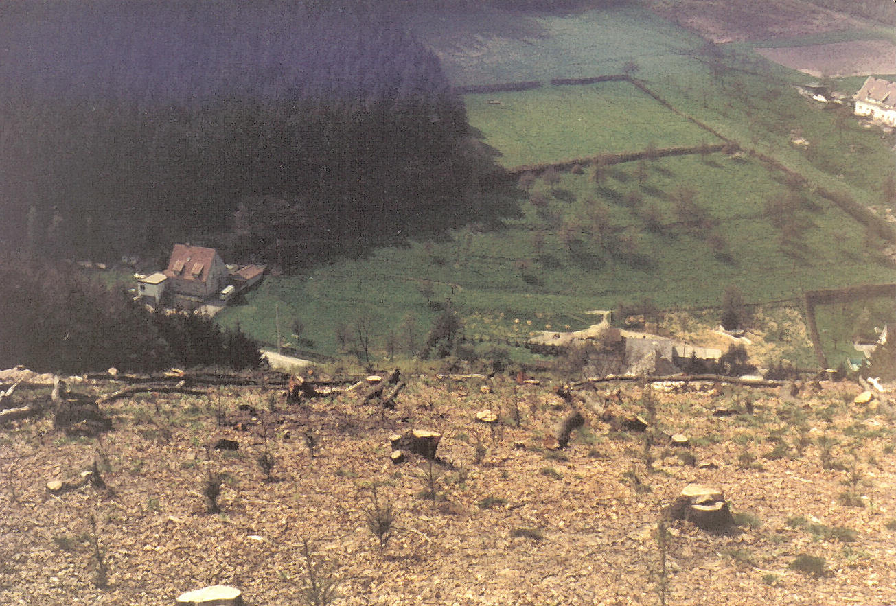 05_27_19750425_nm_Meilerplatz_Am_Buscherberg