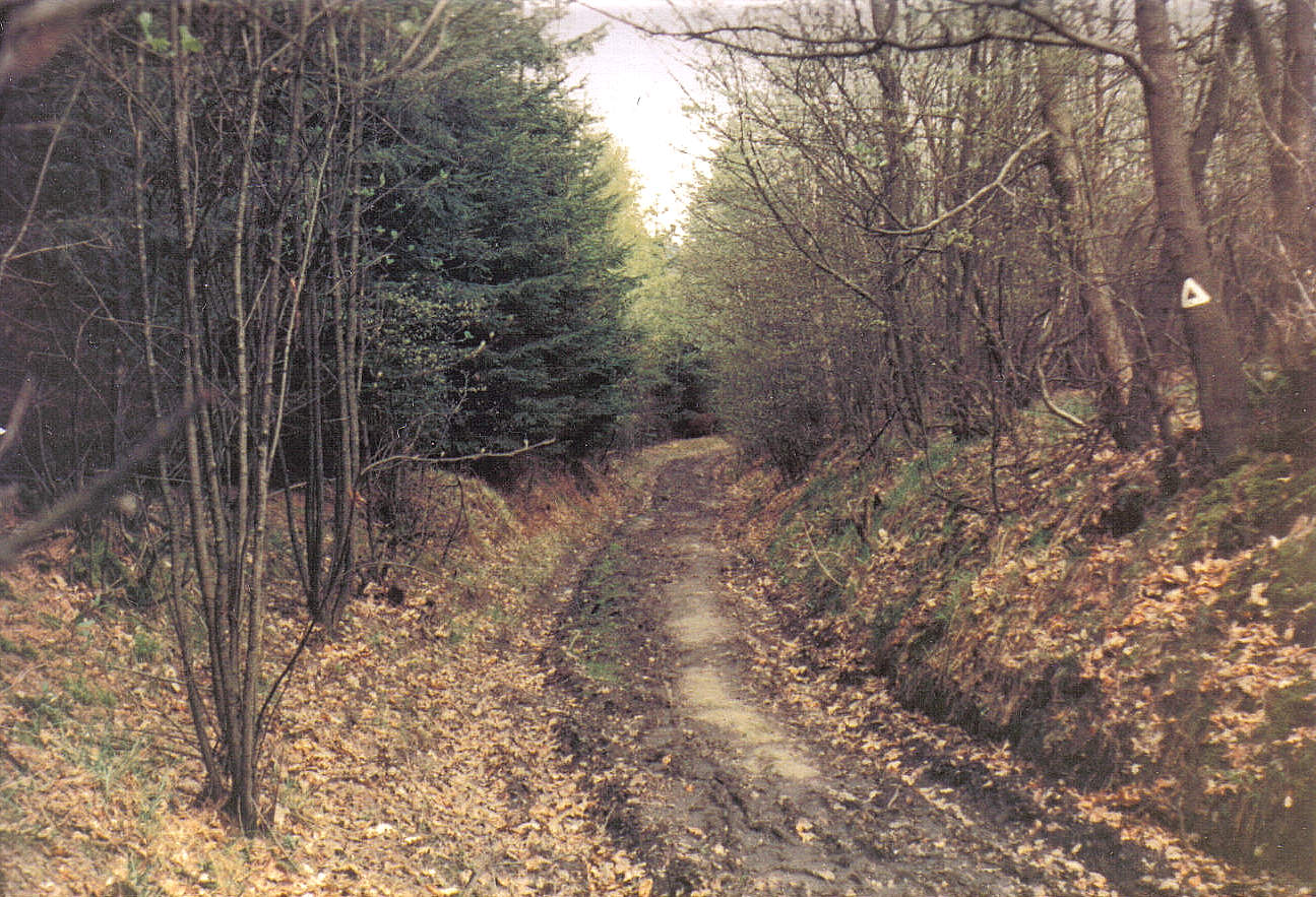 05_28_19750425_(1400)_Hauptweg