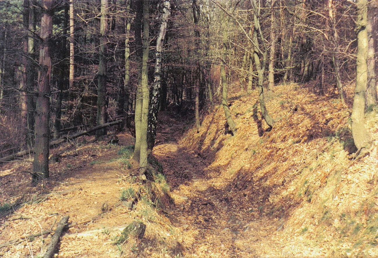 05_30_19750425_(1400)_Kurven