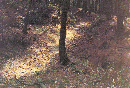 05_32_19750425_(1405)_Pferdeplatz