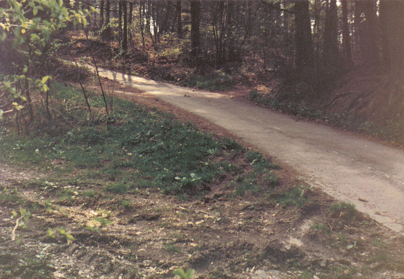 05_34_19750425_(1415)_Wegespinne