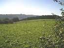 EU/D/NRW/HA/Tuecking/20051017_1410_IMAG0001_Blick_von_der_Tueckingschulstrasse_Richtung_Geweke