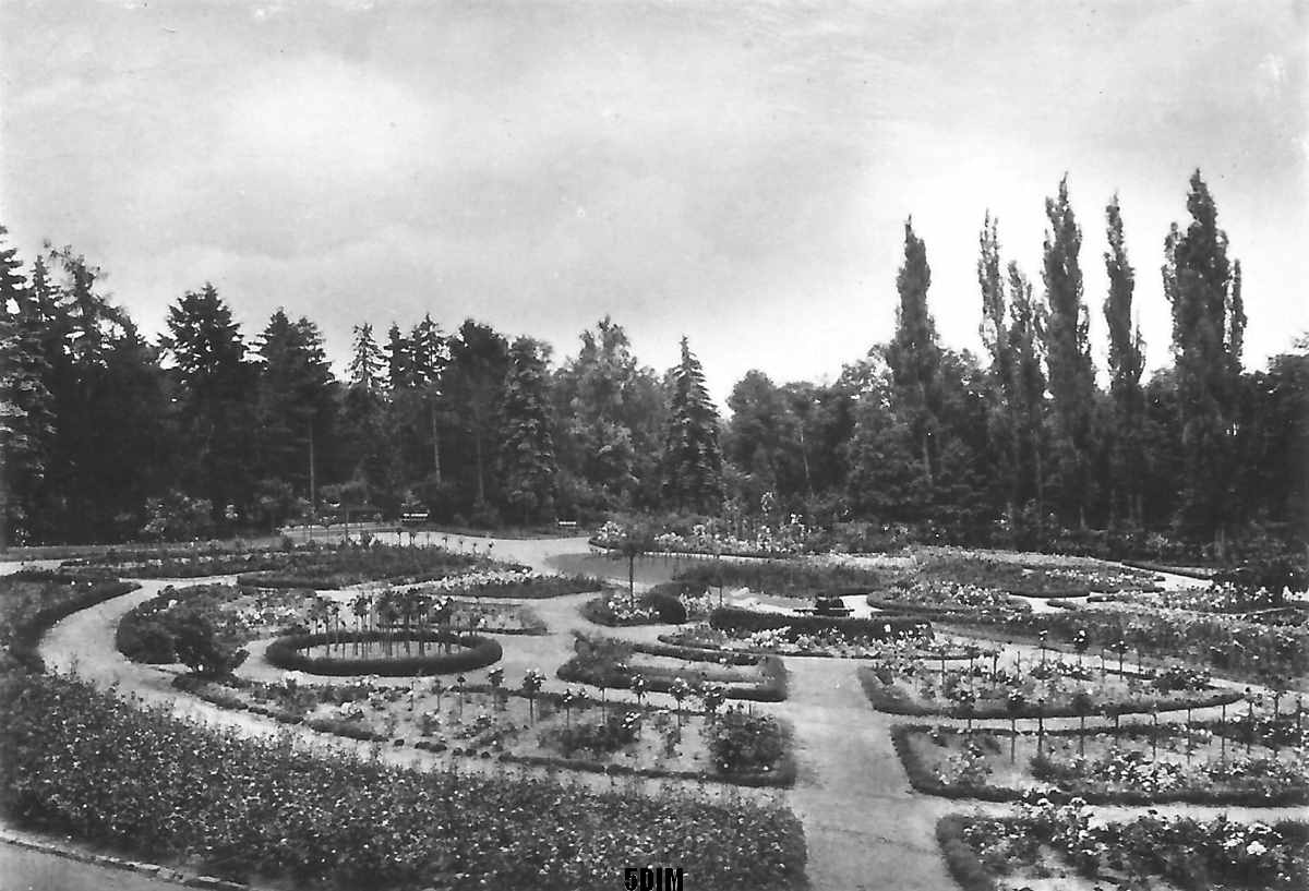 EU/D/SA/SGN/Sangerhausen/Rosarium/SW-Foto_EU_D_SA_SGN_Sangerhausen_Rosarium_1956_1200x0817