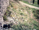 HR/Istrien/Opatijskarivijera/MoscenickaDraga/SvetiPetar/20030918_0807_IMAGE52_Fundstelle