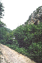 HR/Istrien/Opatijskarivijera/MoscenickaDraga/SvetiPetar/20050616_0949_F1000008_CESTA_ZA_POTOKI