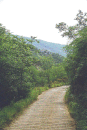 HR/Istrien/Opatijskarivijera/MoscenickaDraga/SvetiPetar/20060620_1009_017_14A_Blick_aus_der_Schlucht_auf_Kuk