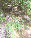 HR/Istrien/Opatijskarivijera/Trebisca/20050616_1128_DSCI0007_Trebisca_Quellbereich
